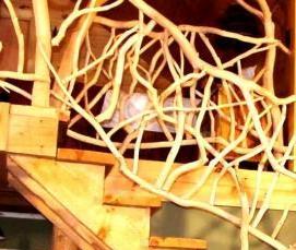 Монтаж перил из дерева - модель 1