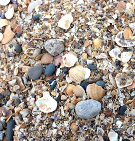 Морской песок - тип 4