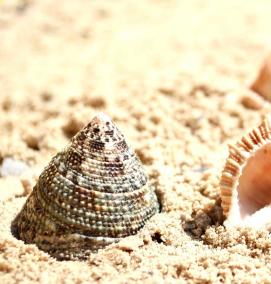 Морской песок - тип 3