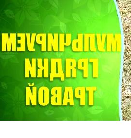 Мульчирующая щепа - вариант 4