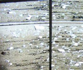 Надежные теплицы из поликарбоната - модель 1