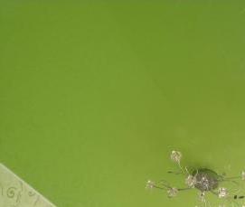 Натяжной потолок матовый зеленый - модель 2