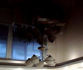 Натяжной потолок с черными цветами - тип 1