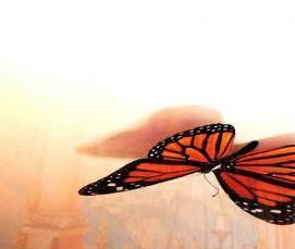 Натяжные потолки без швов - модель 3