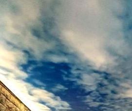 Натяжные потолки одноуровневые с фотопечатью - вариант 3