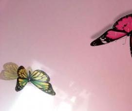 Натяжные потолки с бабочками - вариант 3