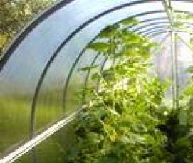 Небольшая теплица из поликарбоната - тип 4