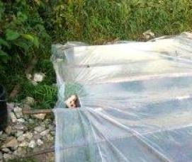 Небольшая теплица из поликарбоната - тип 2