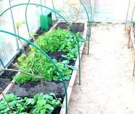 Необогреваемые теплицы - тип 1