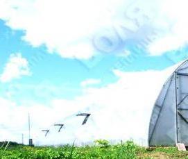 Невысокие теплицы - тип 4