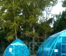 Невысокие теплицы - тип 3