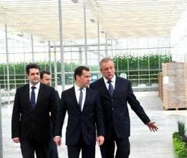 Новгородские теплицы - модель 4