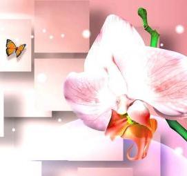 Обои бумажные: орхидеи - модель 1