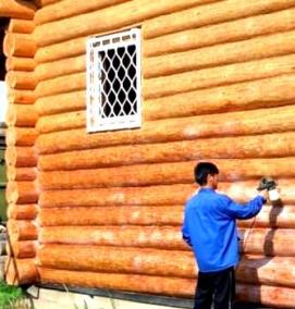 Обработка бани от плесени - вариант 2