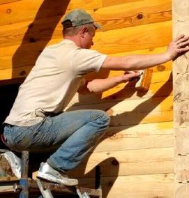 Обработка древесины от грибка и плесени - модель 3