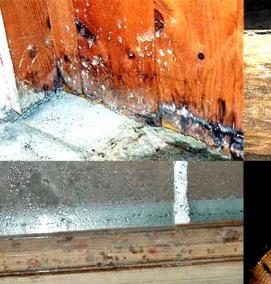 Обработка подвала от плесени и грибка - модель 4