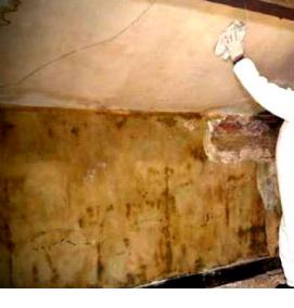 Обработка подвала от плесени и грибка - модель 3