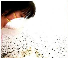 Обработка потолка от грибка и плесени - тип 4