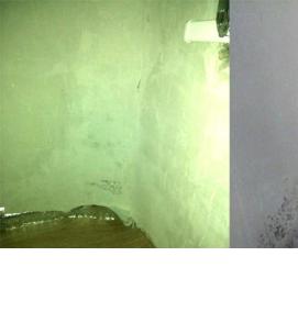 Обработка стен в ванной от плесени - модель 4