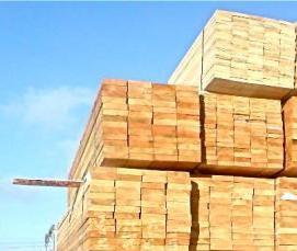 Обрезная доска кедра - тип 2