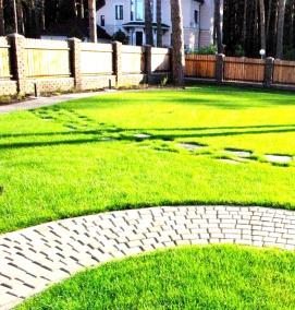 Обустройство газона - вариант 4