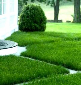 Обустройство газона - вариант 3