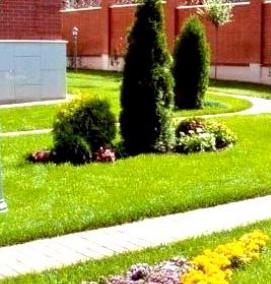 Обустройство газона - вариант 2