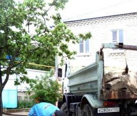 Очистка участка от деревьев с вывозом мусора - модель 4