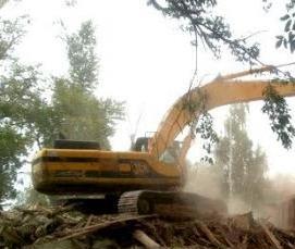 Очистка участка от деревьев с вывозом мусора - модель 3