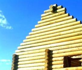 Оцилиндрованное бревно из кедра - модель 3