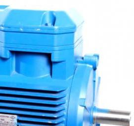 Однофазные бытовые электродвигатели - тип 3