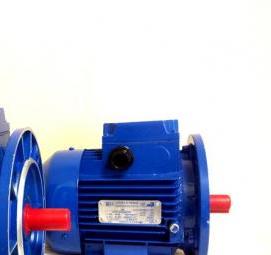 Однофазный электродвигатель - модель 2