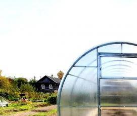 Односкатная теплица из поликарбоната - вариант 1