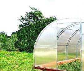 Односкатная теплица из поликарбоната - вариант 2