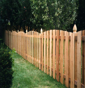 Из ели - вид 2