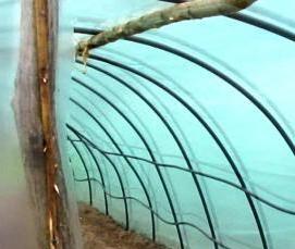 Огуречная теплица - модель 4