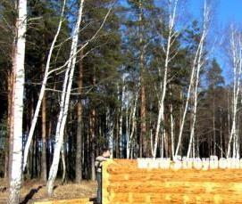 Окоренный сруб - тип 1