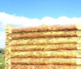 Окоренный сруб - тип 3