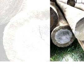 Опора железобетонная 9,5 м - модель 2