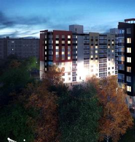 Оптические визуализации - вариант 1