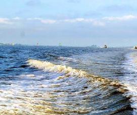 Отлив коричневый - тип 2