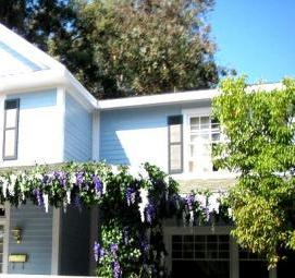 Озеленение фасадов - вариант 1