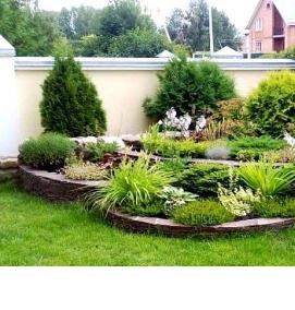 Озеленение хвойниками - вариант 1