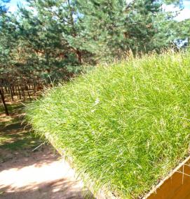 Озеленение крыш - вариант 2