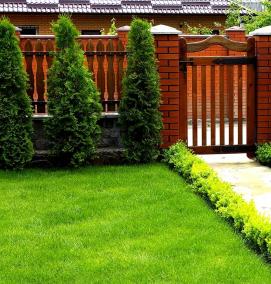 Озеленение - тип 2