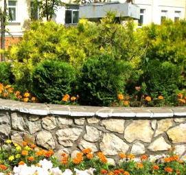 Озеленение территории дворов - вариант 3