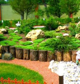 Озеленение территорий населенных пунктов - вариант 2