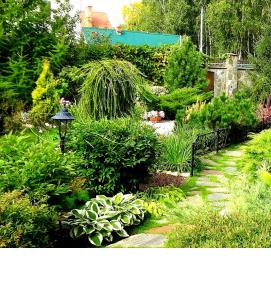 Озеленение участка - вариант 1