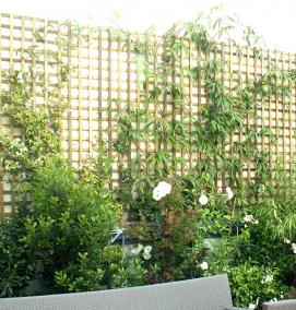 Озеленение веранд - модель 4