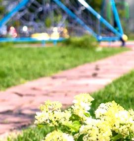 Озеленение жилого комплекса - вариант 1